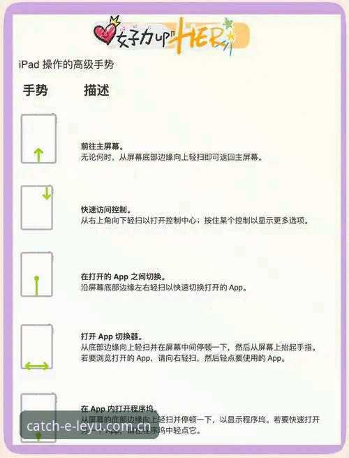 乐鱼娱乐平台官网登录入口使用教程：新手快速上手指南